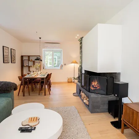 Lynx Valley צרני לוג