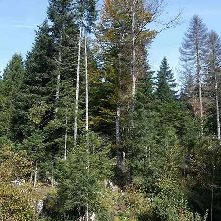 Lynx Valley Βίλα *