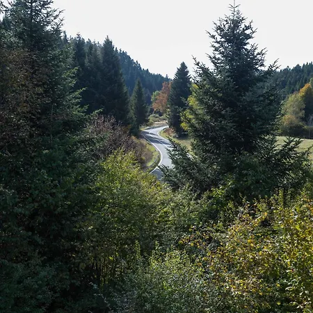 Βίλα Lynx Valley