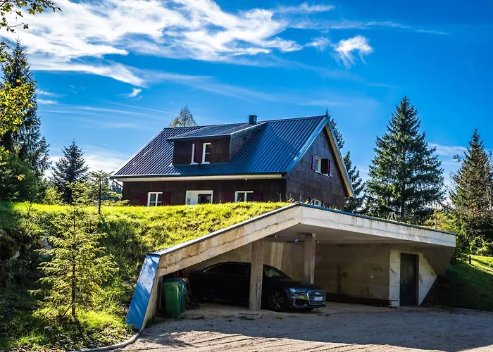 Lynx Valley Crni Lug